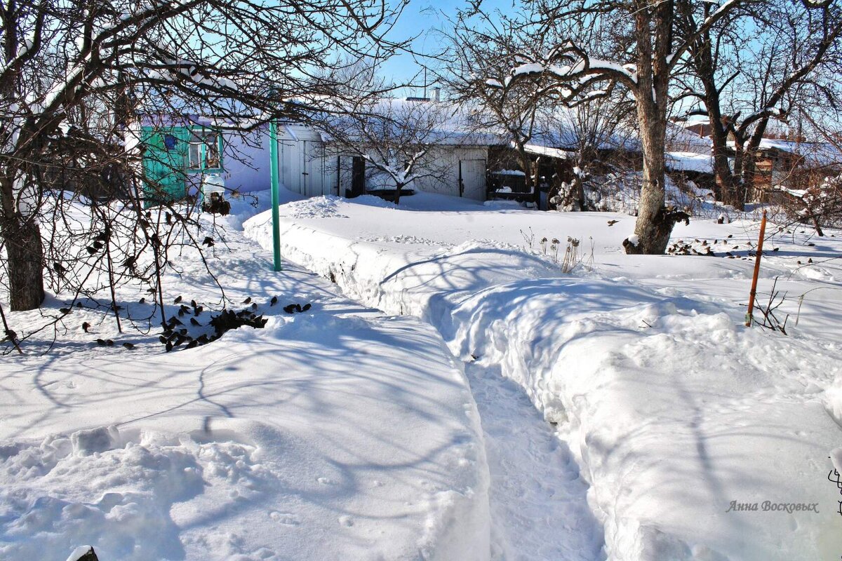 В саду ещё горы снега. Вот такой у нас март. - Восковых Анна Васильевна 