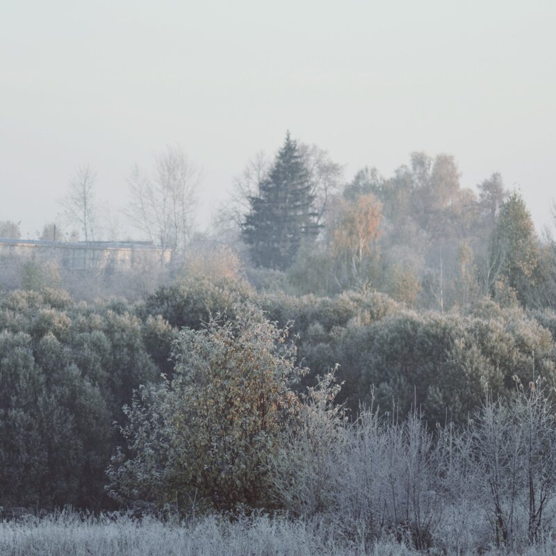 Морозное дыхание - Катерина Шалеева (Reineke_Fox)