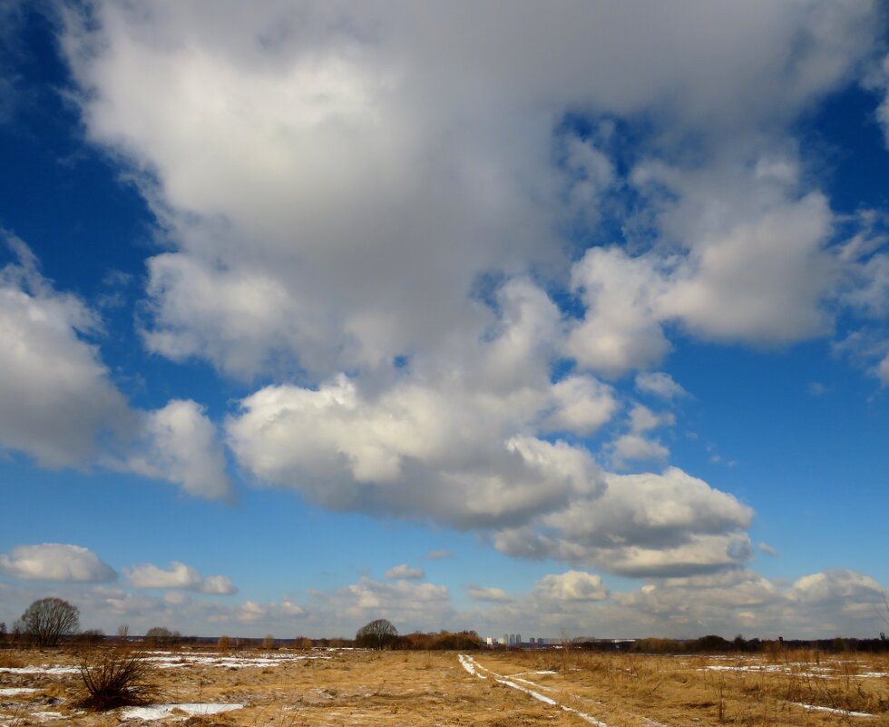 Весенние облака - Андрей Снегерёв