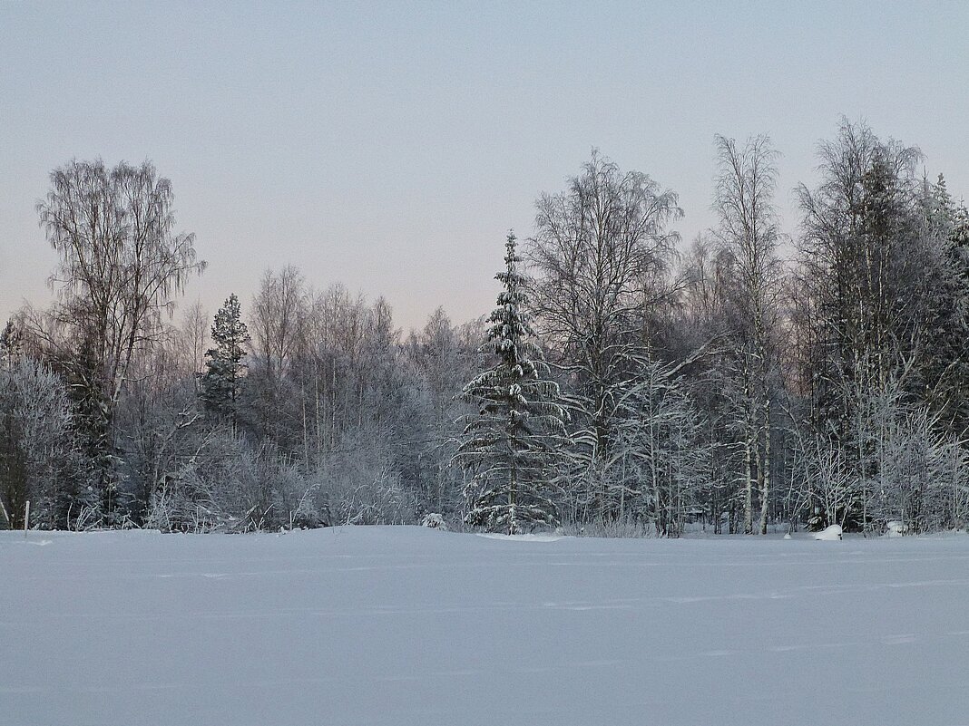 Зимний пейзаж - Лидия Бусурина