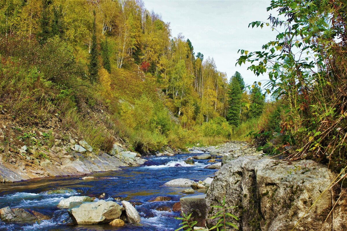 Речка - Сергей Чиняев 