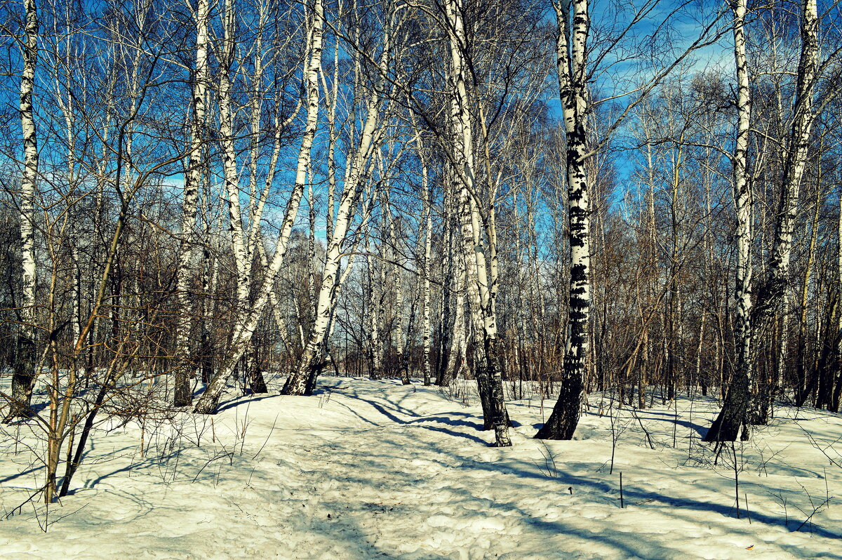 Апрель за городом - Татьяна Лютаева