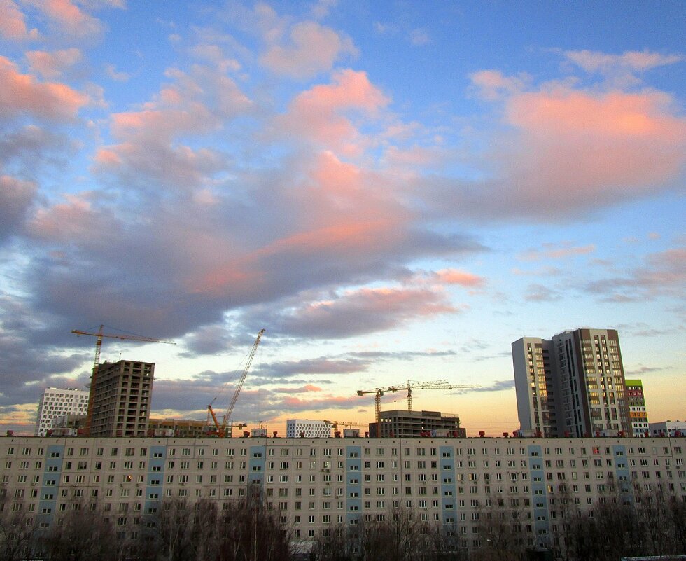 Московское небо. - Ольга Довженко