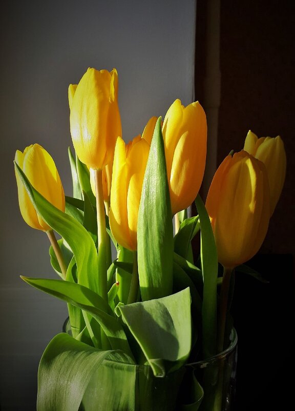 Желтые тюльпаны - Ирина 