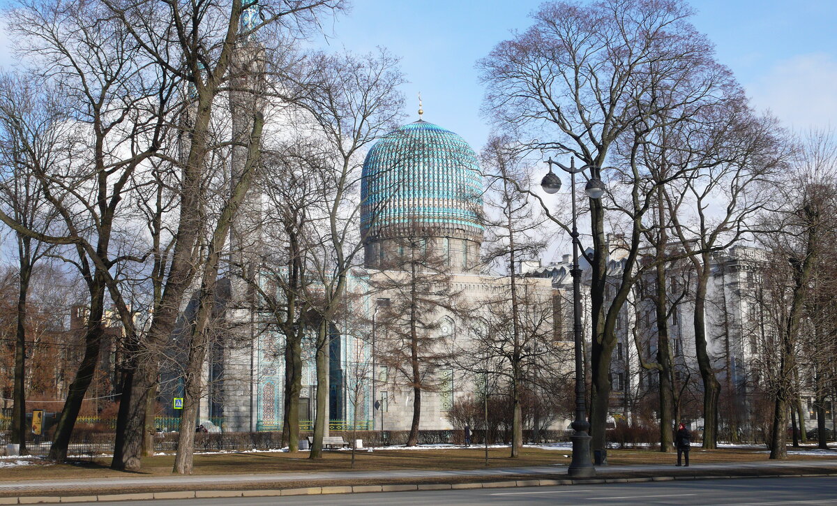 СПб. Вид на мечеть - Таэлюр 