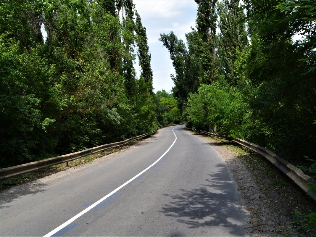 Ростов-на-Дону. Дорога в посёлок Водопадный через балку Малую Камышеваху. - Пётр Чернега