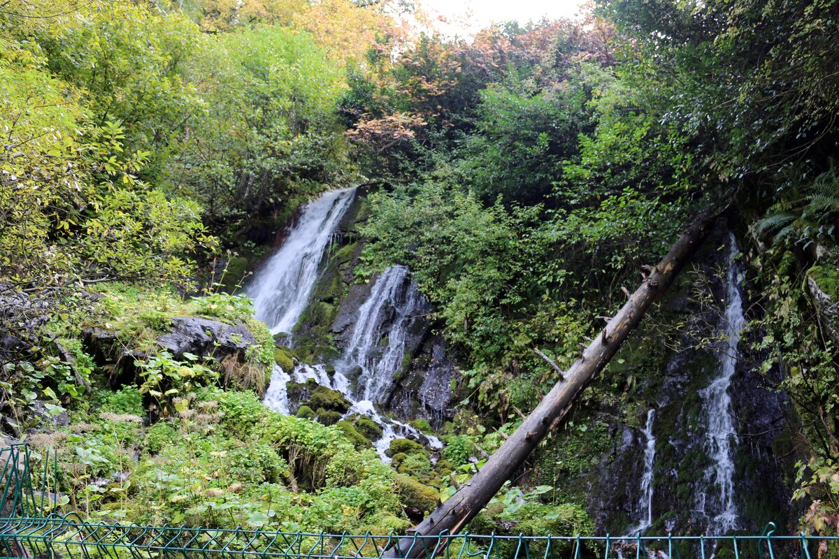 Водопады в горах - Ольга 