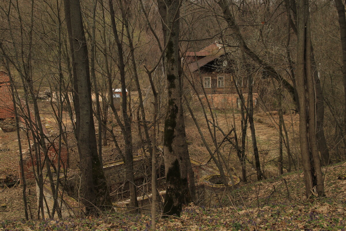 дачный дом в Пущино - Илья 