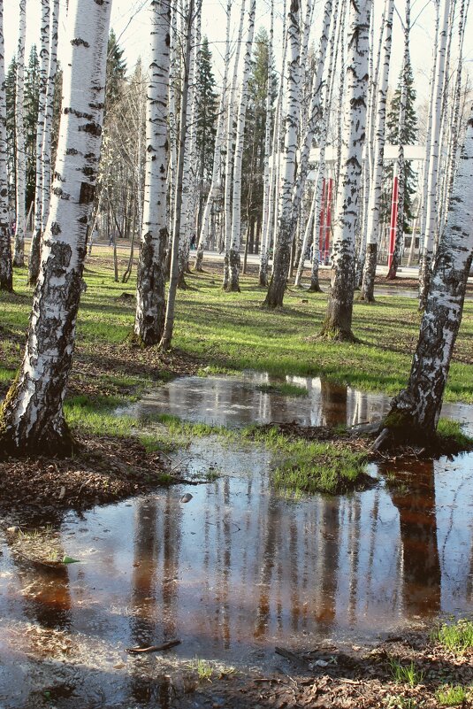 Весна в Парке - Екатерина Хозяшева