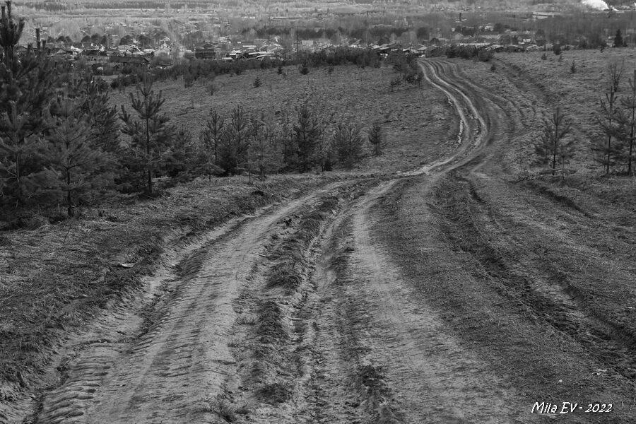 "В края луговые уводит дорога, Уводит в речные края..." - Liudmila Evgrafova