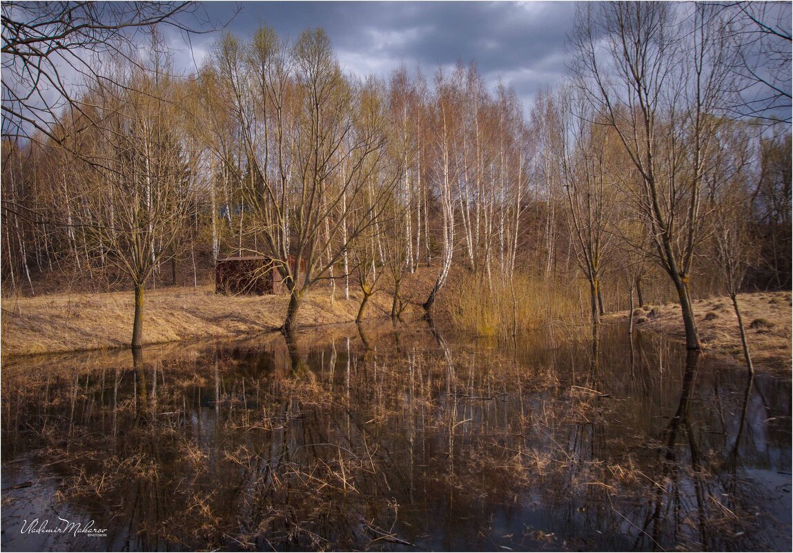 "Талая вода"© - Владимир Макаров
