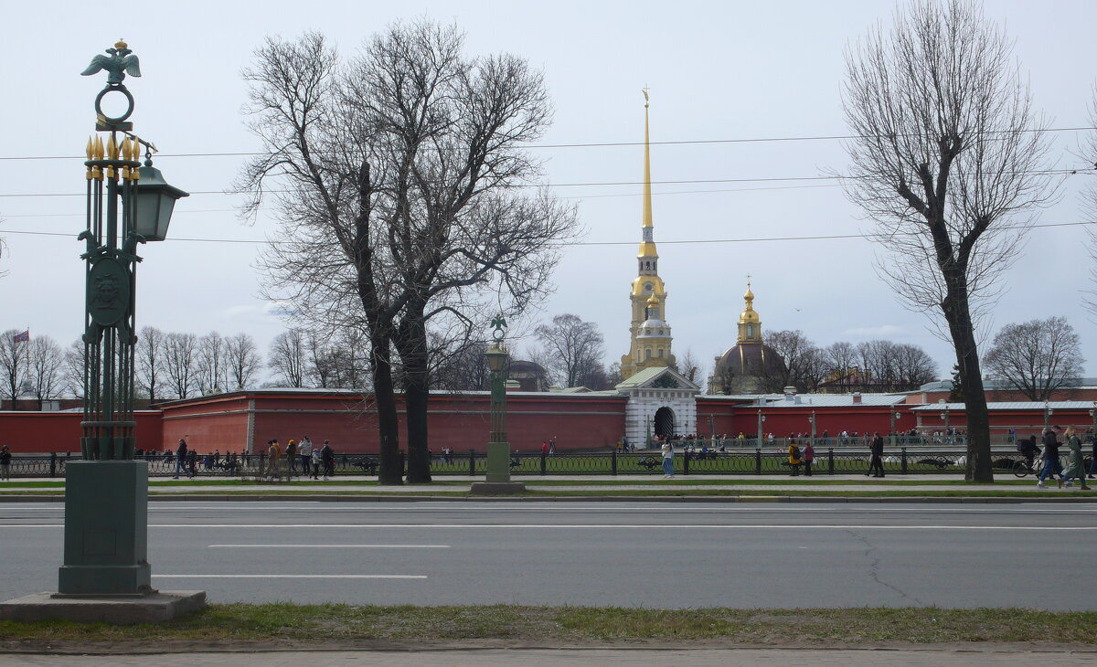 СПб.Каменноостровский проспект - Таэлюр 