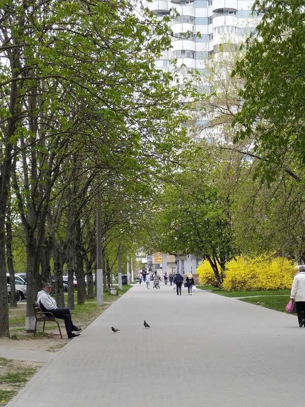 Весна в городе. - tamara 