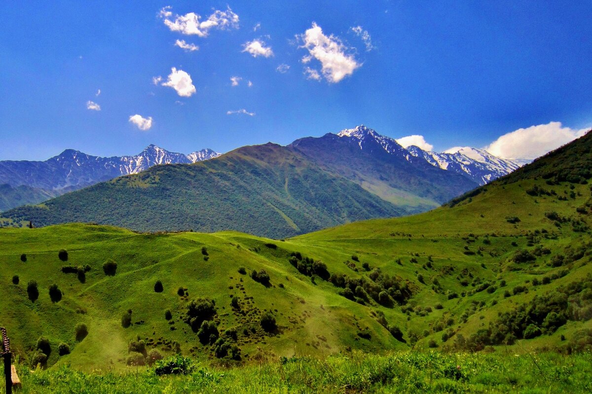 Северная Осетия - Елена (ЛенаРа)