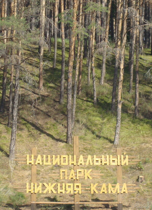 Национальный парк Нижняя Кама - Raduzka (Надежда Веркина)