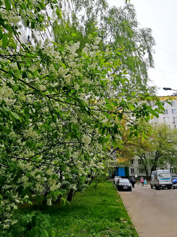 Городские зарисовки - Ольга Довженко