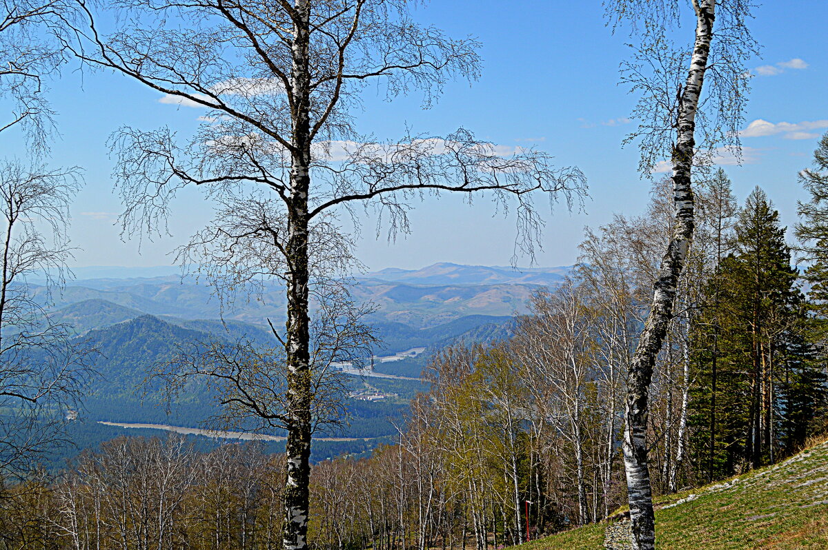 Панорама Алтая с высоты 1020 - Татьяна Лютаева