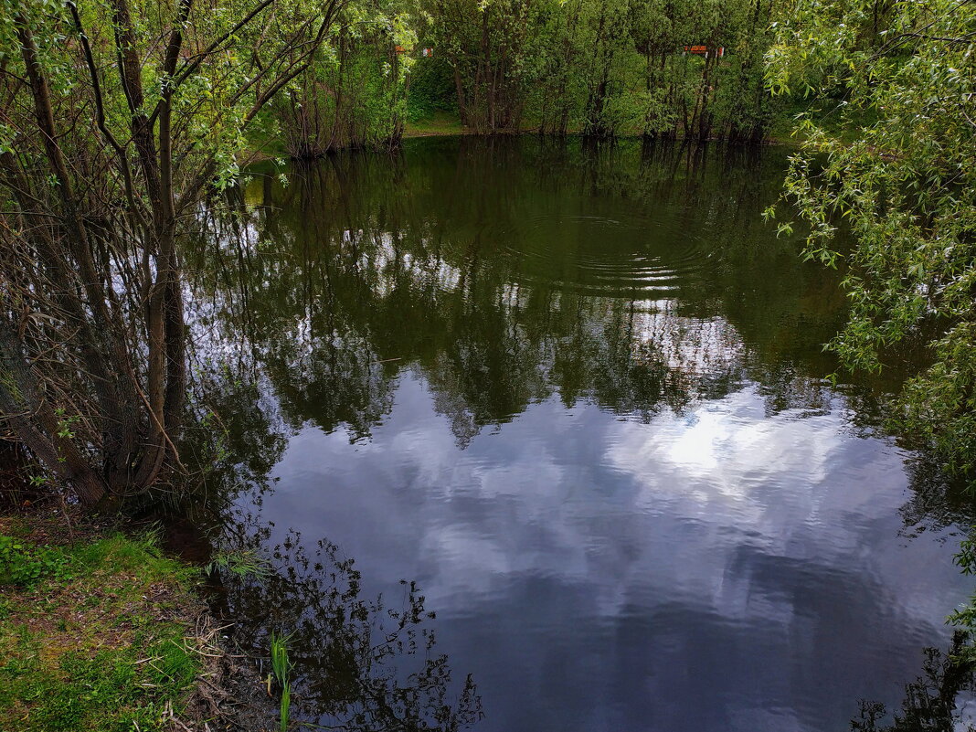 * * * - Андрей Лукьянов