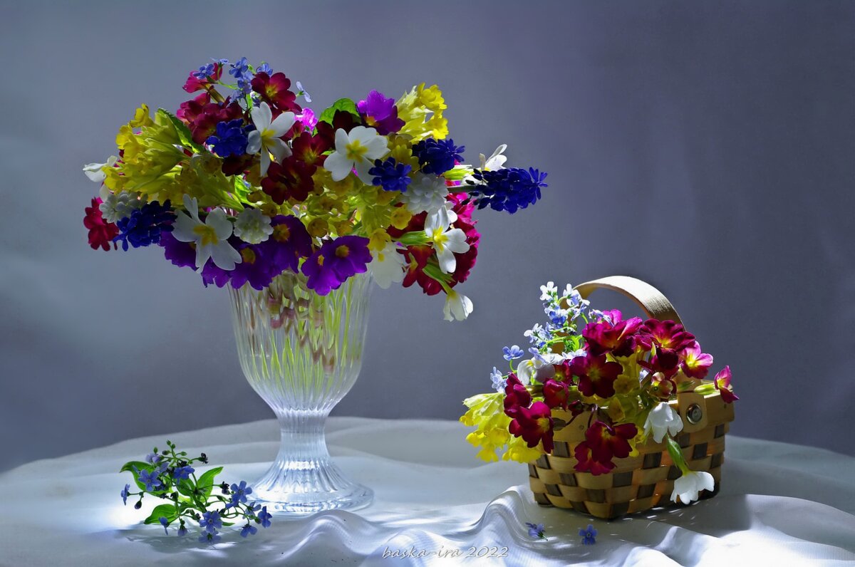 Весення радуга первоцветов - Ирина Баскакова