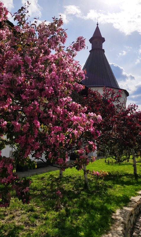 Весна в Ново- Спасском монастыре - Nyusha .