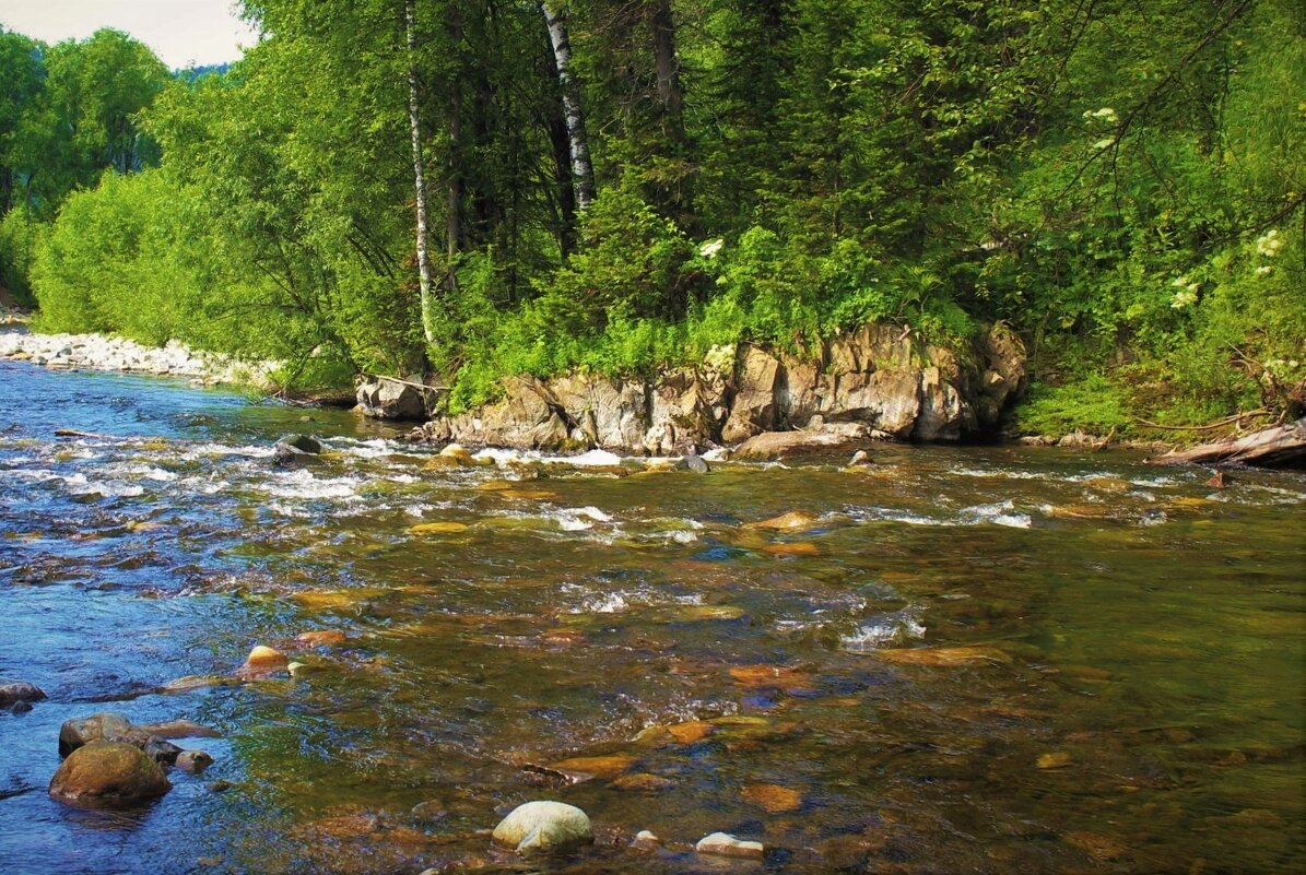 Речка чистой воды - Сергей Чиняев 