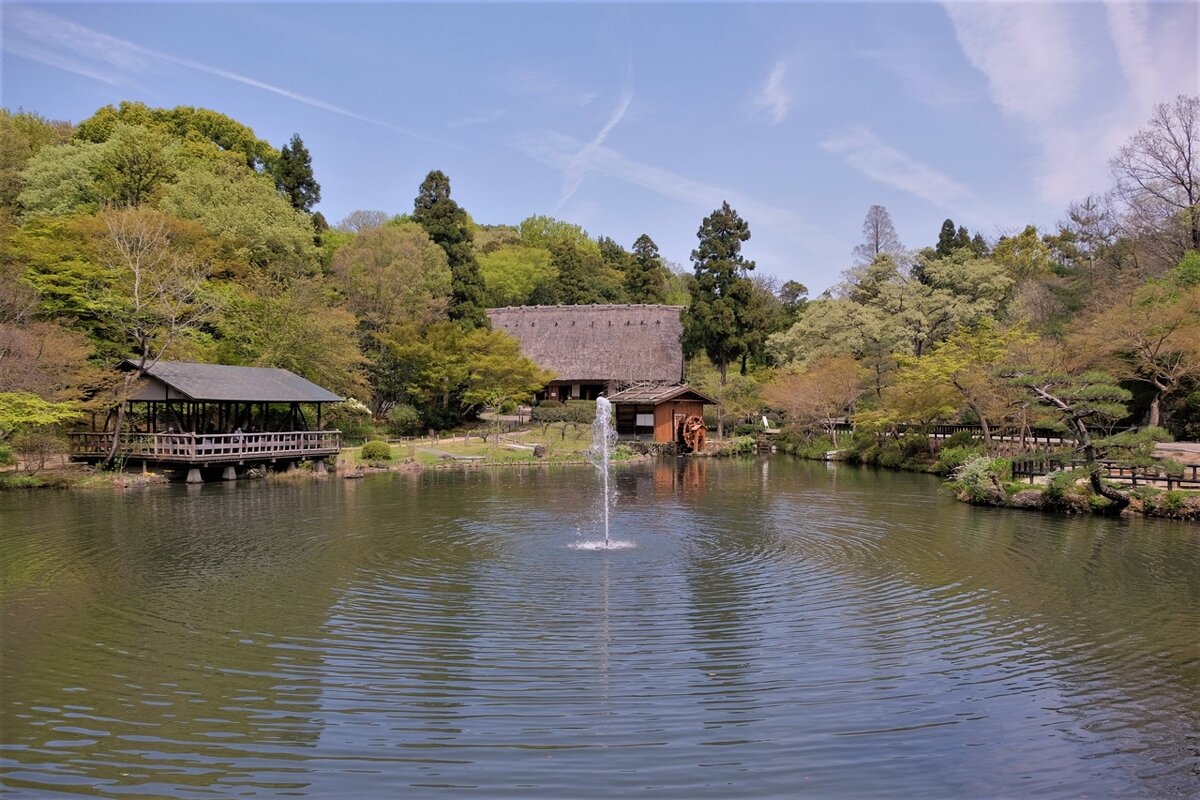 Нагоя Япония Ботанический сад Higashiyama - wea *