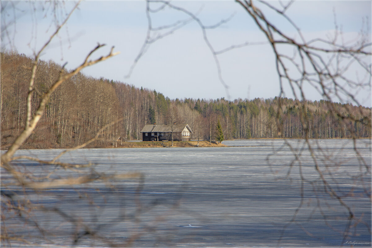 Вид на дом "КАК У БАБУШКИ" на озере Масельгское - Анастасия Северюхина