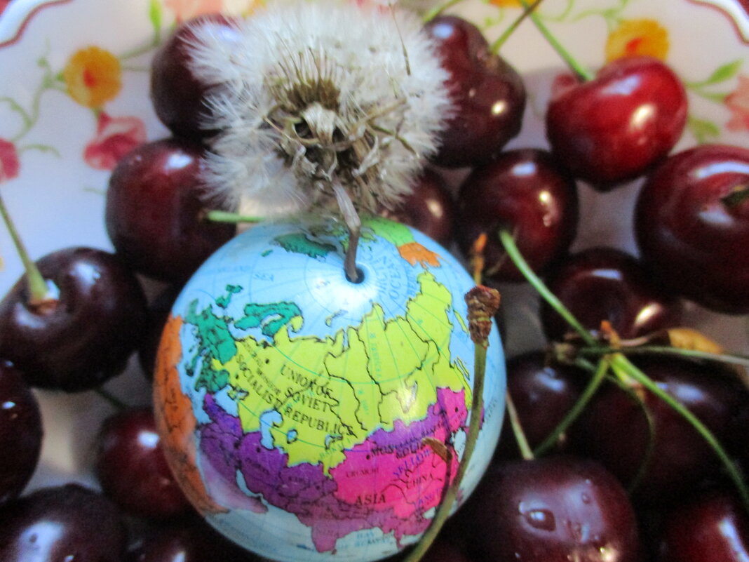 Натюрморт "Планета-одуванчик в черешневом раю" - Alex Aro Aro Алексей Арошенко