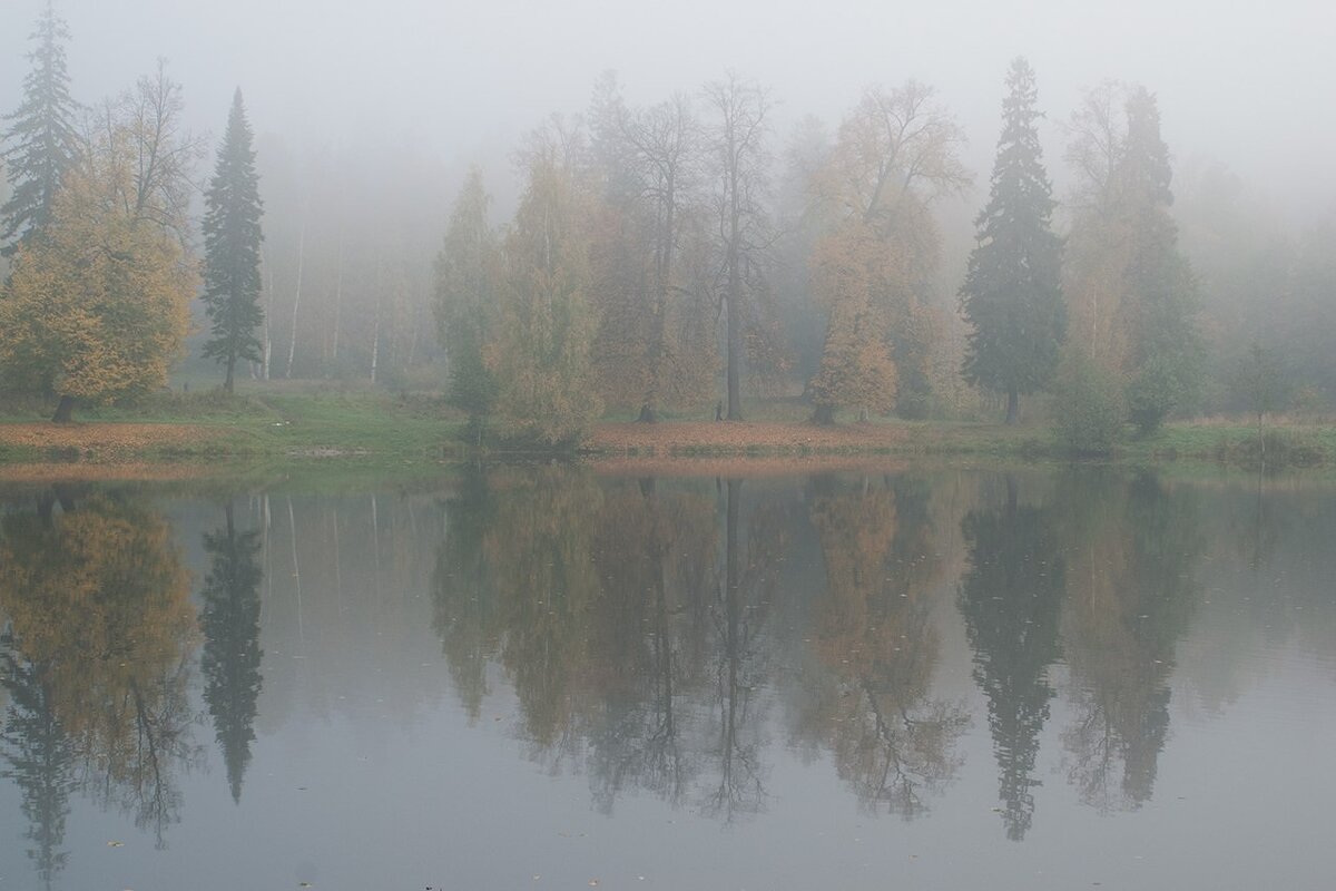 Туманное утро - Алексей Смирнов