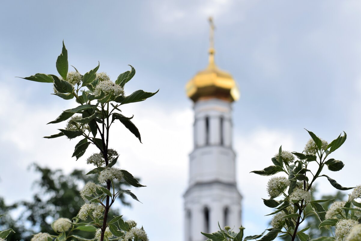 Небу подвластно всё, кроме людского безумия… - Татьяна Помогалова