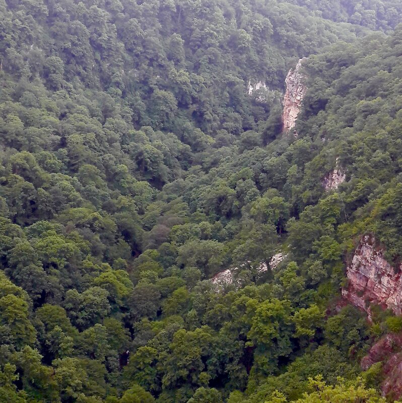 В горах Кавказа - Вера Щукина