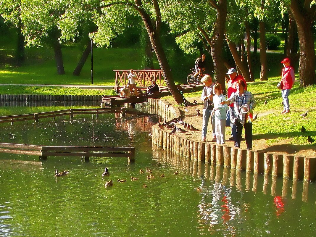 Леоновский пруд в парке «Сад будущего» - Ольга Довженко