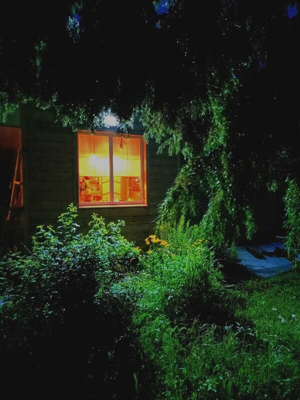 Ночь, сад - Георгий Ковалев