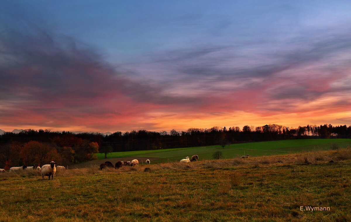 autumn evening - Elena Wymann