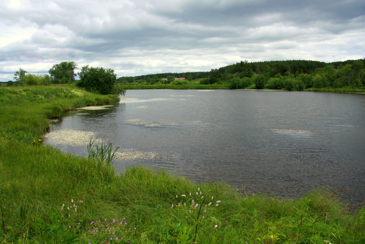 Река Таволга - Нэля Лысенко