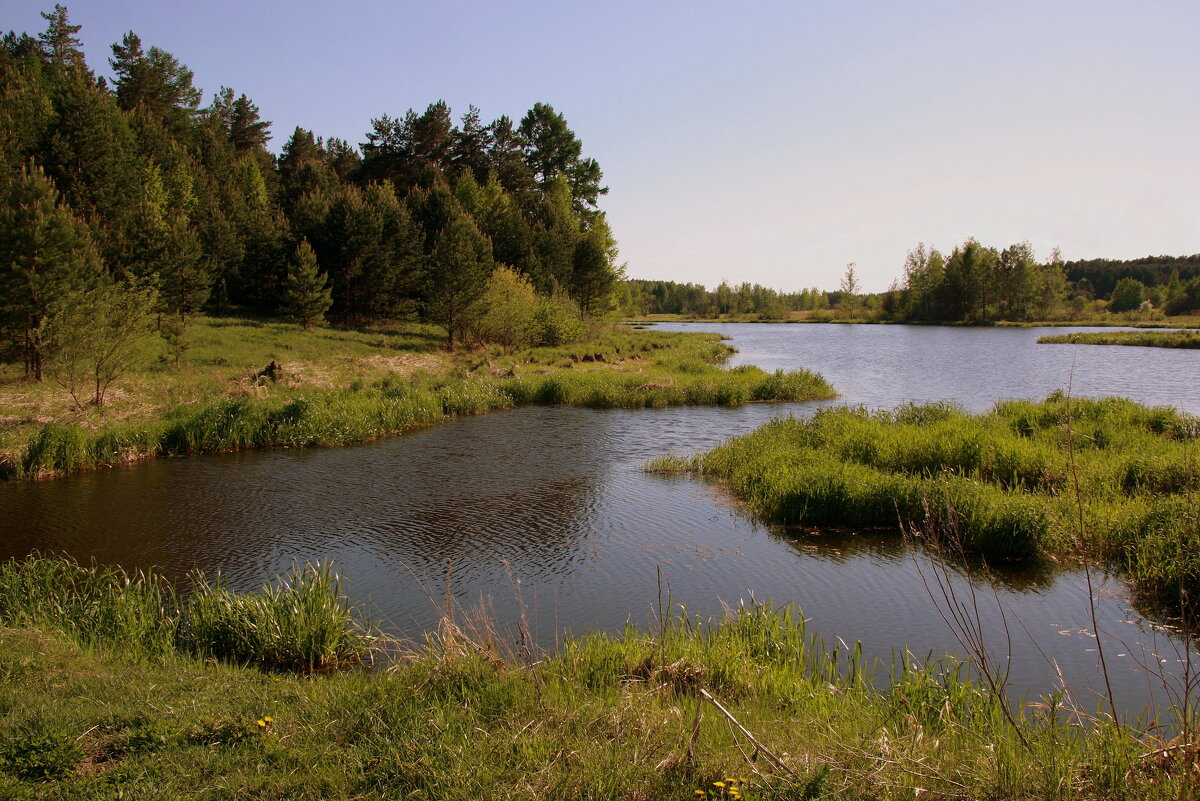 Река Реж - Нэля Лысенко