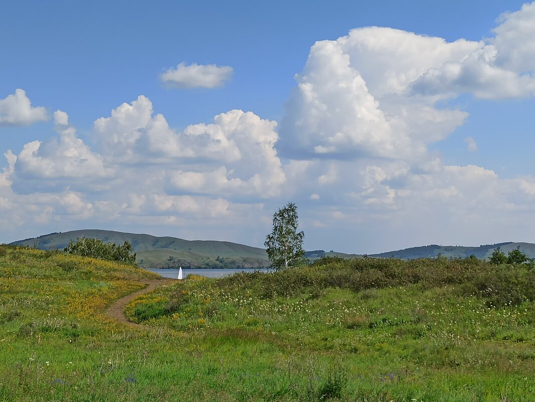 Жаркий день - svk *