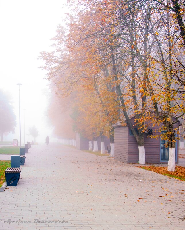 Утренний туман - Светлана 