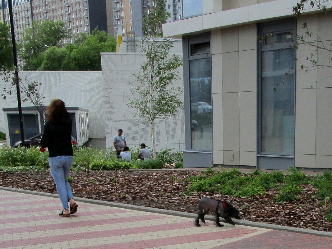 Городские зарисовки - Ольга Довженко