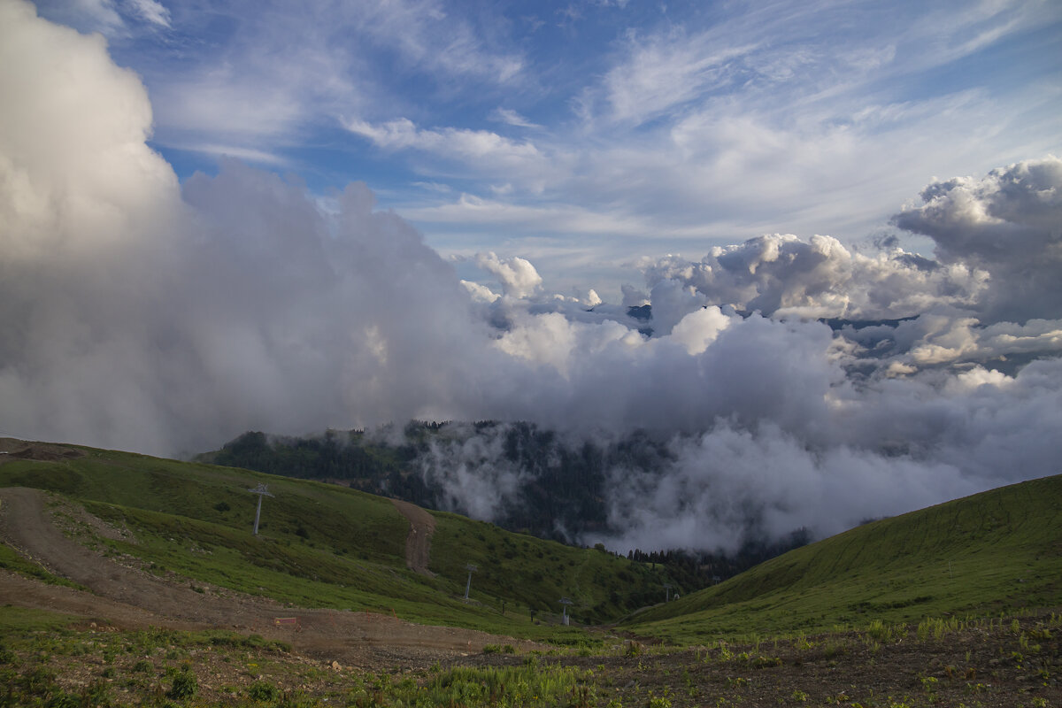 Летний день в горах - Светлана Карнаух