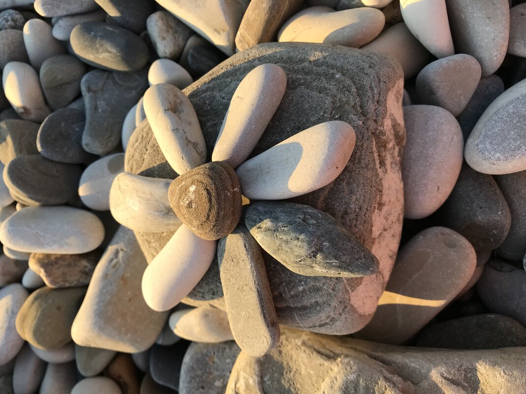 Каменный цветок - Pippa 