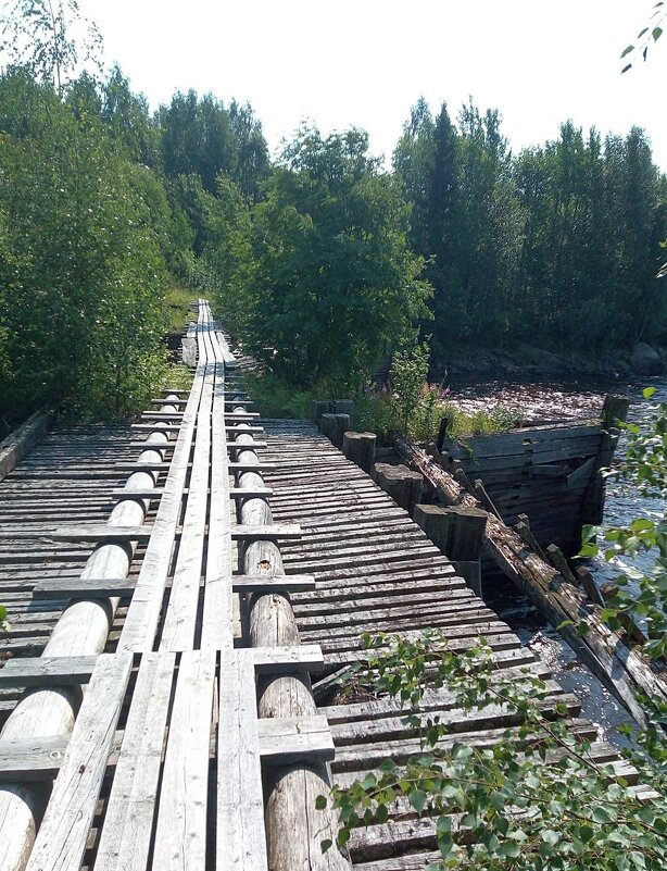 Водлозерский национальный парк  в России. - Ольга Довженко