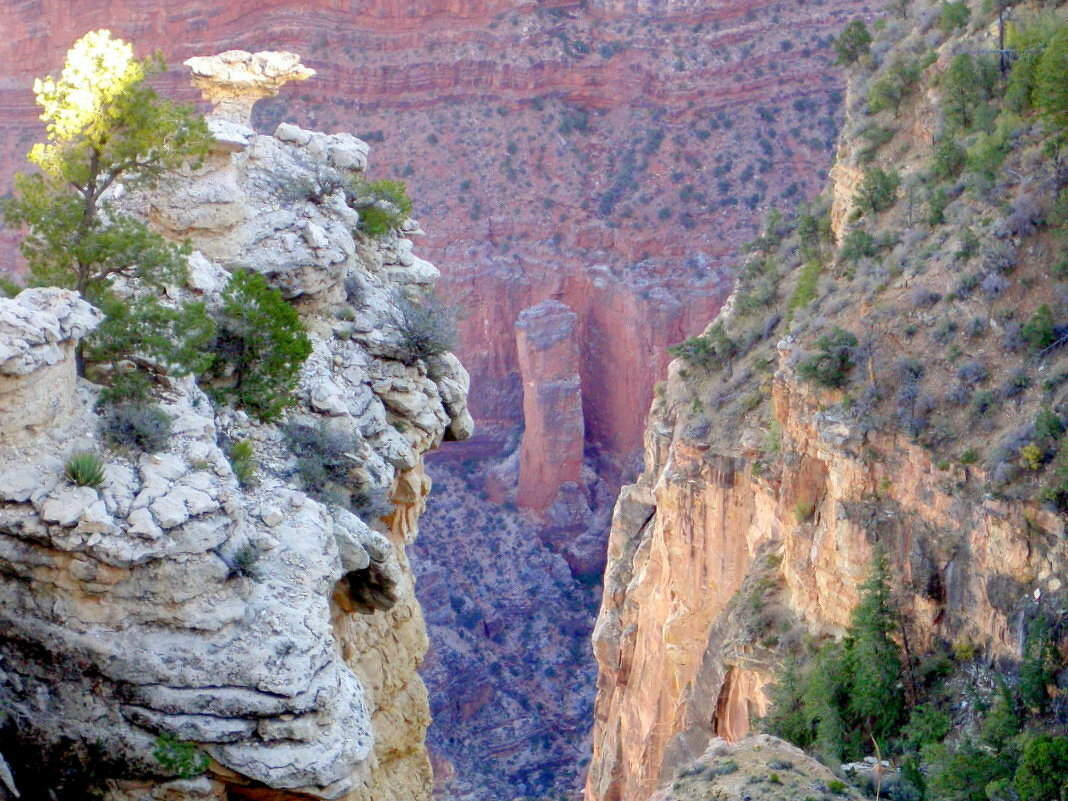 Grand Canyon, США - Елена 