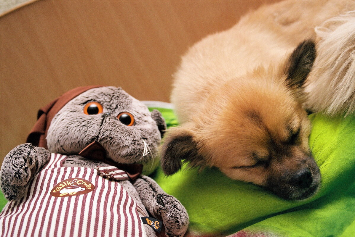 Спят усталые игрушки - M Marikfoto