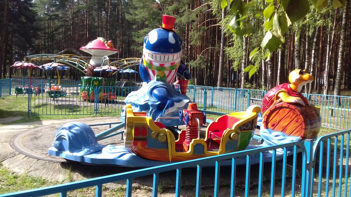 аттракционы  в парке для детей - Владимир 