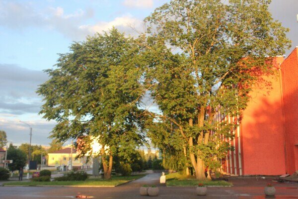 Летний  вечер в городе - Сергей Кочнев