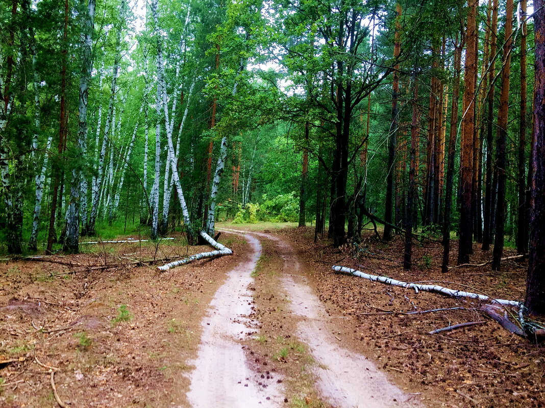 ... - сержант .