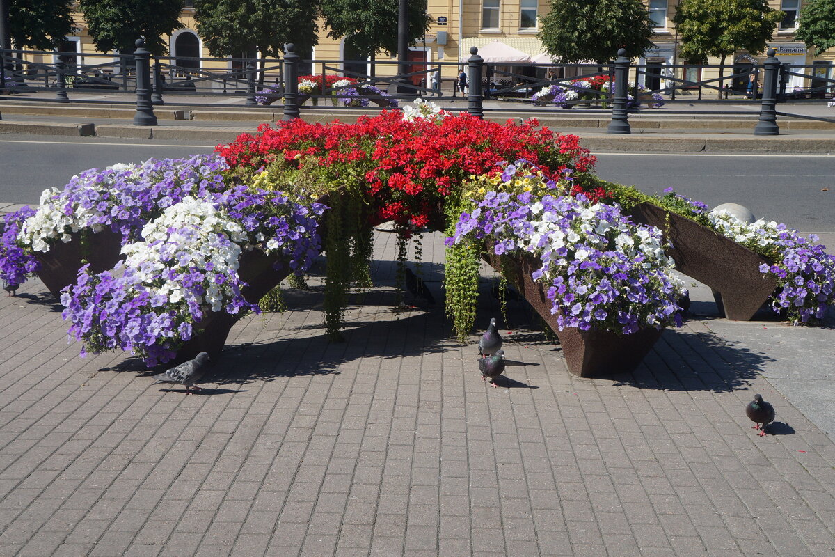 цветы и голуби - zavitok *