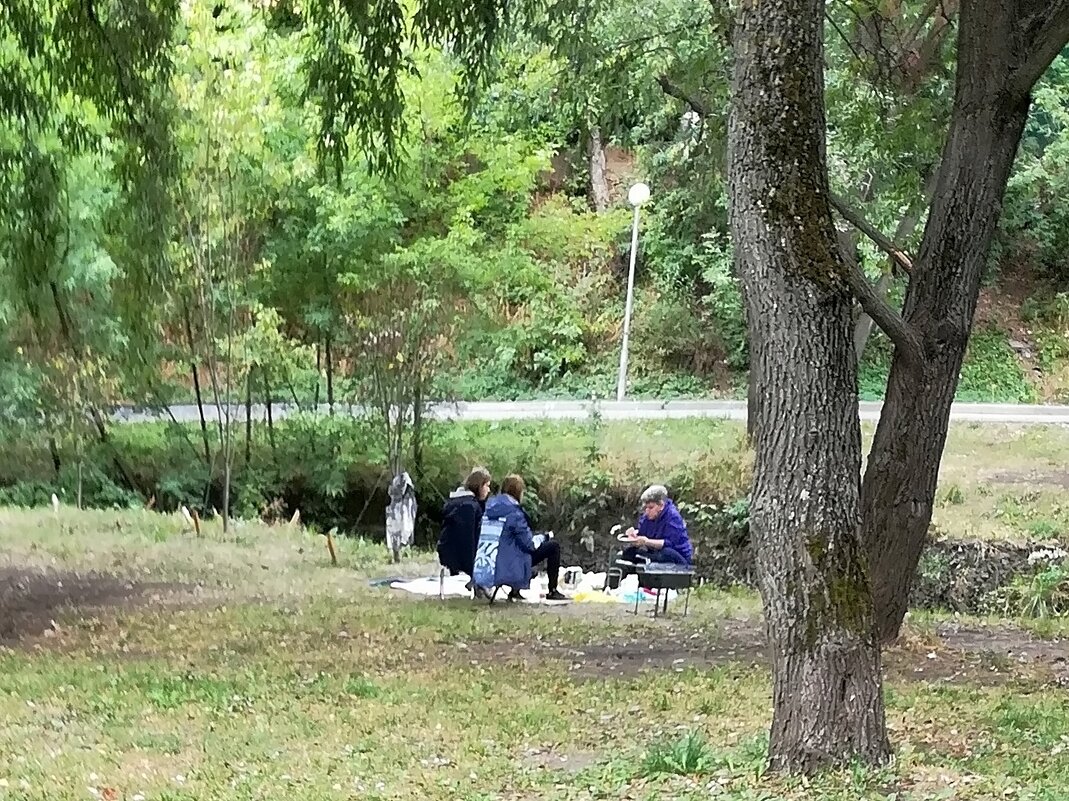 Пикник в парке. - Ольга Довженко