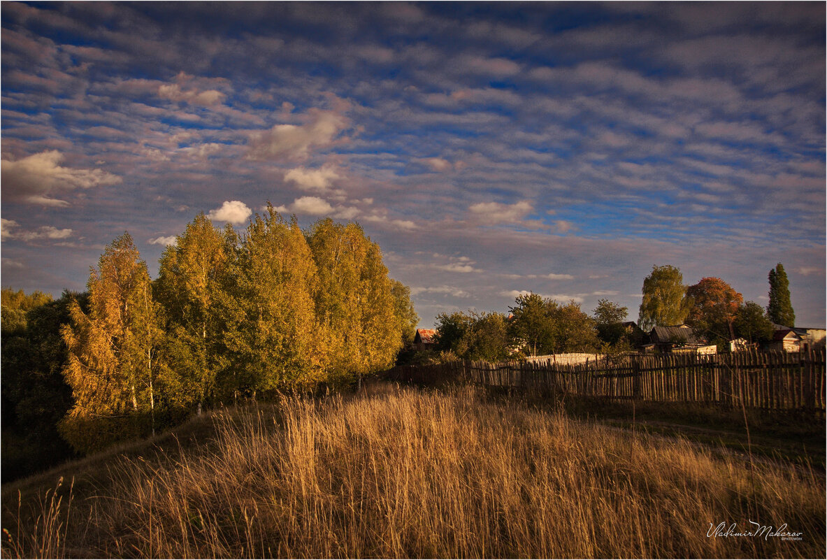 "Осень. В вечернем свете"© - Владимир Макаров
